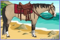 Horse Color:Bay Dun Splash