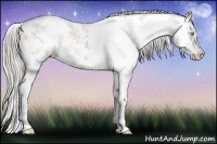 Horse Color:Chocolate Palomino Ice Pearl Dun Sabino 