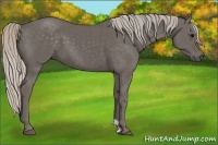Horse Color:Silver Black 