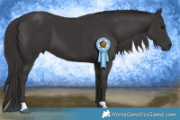 Horse Color:Smoky Black 