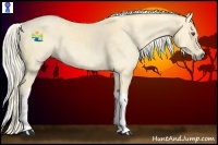 Horse Color:Palomino Chinchilla Dun 