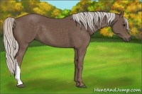 Horse Color:Silver Black 
