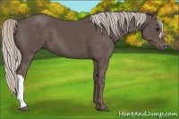 Horse Color:Silver Black 