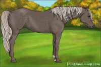 Horse Color:Silver Black 