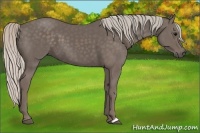 Horse Color:Silver Black