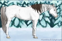 Horse Color:Liver Chestnut Sabino Blanket 