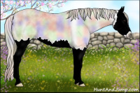 Horse Color:Gray Nacre Buckskin Splash 