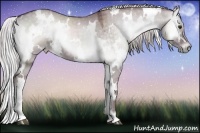 Horse Color:White Spotted Chocolate Silver Grullo Chinchilla Onyx 