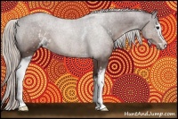 Horse Color:White Spotted Chocolate Silver Black Sabino 