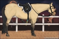 Horse Color:Bay Dun 