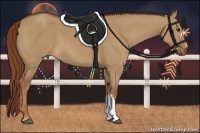 Horse Color:Red Dun 