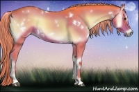 Horse Color:Watercolor White Spotted Liver Red Onyx