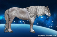 Horse Color:Gray Chestnut 