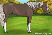 Horse Color:Silver Black 