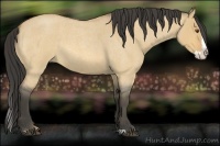 Horse Color:Buckskin Roan Dun Splash
