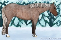 Horse Color:Silver Bay Roan