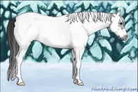 Horse Color:White Spotted Blue Roan Splash Frame Varnish 