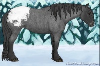 Horse Color:Blue Roan Snowcap 
