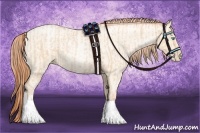 Horse Color:Buckskin Roan Pearl  and Amber Cream Champagne Roan Pearl 