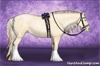 Horse Color:Buckskin Roan Pearl  and Silver Buckskin Roan Pearl 
