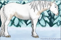 Horse Color:Cremello Splash Tobiano Appaloosa Rabicano 