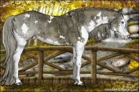 Horse Color:White Spotted Liver Red Dun Ice Splash 
