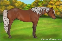 Horse Color:Silver Brown 