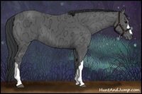 Horse Color:Black Ice 