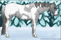 Horse Color:Blue Roan Tobiano Frame Varnish 