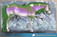 Horse Color:Watercolor White Spotted Liver Red Onyx Rabicano 