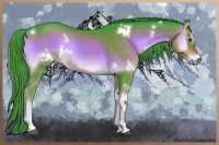 Horse Color:Watercolor White Spotted Liver Red Onyx Rabicano 