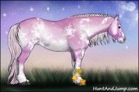 Horse Color:Watercolor White Spotted Silver Brown Onyx 