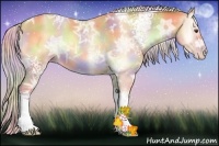 Horse Color:Nacre White Spotted Silver Amber Champagne Ice Onyx Sabino Rabicano 