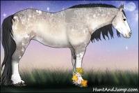 Horse Color:Bay Ice Onyx Sabino