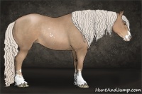 Horse Color:Silver Black Pearl Sabino Rabicano