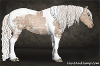 Horse Color:Silver Black Ice Pearl Tobiano 