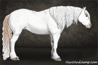 Horse Color:Red Onyx Pearl Sabino