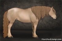 Horse Color:Liver Chestnut Pearl Sabino Rabicano 