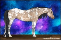 Horse Color:White Spotted Bay Ice Dun