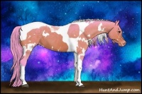Horse Color:Watercolor White Spotted Bay Tobiano Appaloosa 