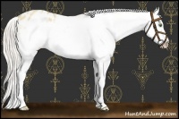Horse Color:Silver Classic Champagne Dun Splash Frame Varnish 
