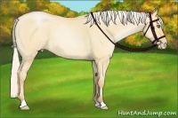 Horse Color:Silver Amber Champagne Roan Pearl Dun
