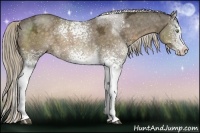 Horse Color:White Spotted Chocolate Palomino Ice 