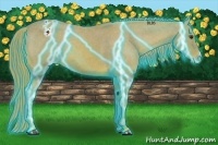 Horse Color:Thunderstruck Watercolor Chestnut Appaloosa 