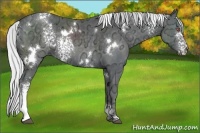 Horse Color:White Spotted Silver Black Chinchilla Ice 