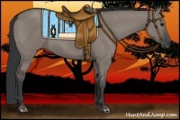Horse Color:Grullo 