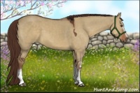 Horse Color:White Spotted Liver Red Dun 