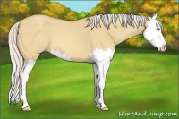 Horse Color:Silver Sable Champagne Dun Splash 