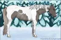 Horse Color:Silver Black Tobiano Rabicano 