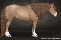 Horse Color:Brown Pearl Sabino